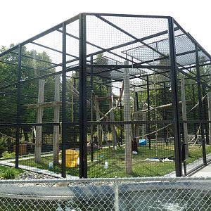Orangutan Exhibit - New in 2011