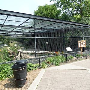 Bengal Tiger Exhibit
