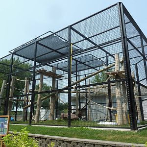 Orangutan Exhibit - New in 2011