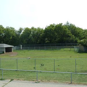 American Bison/Rocky Mountain Elk Exhibit