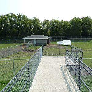 American Bison/Rocky Mountain Elk Exhibit