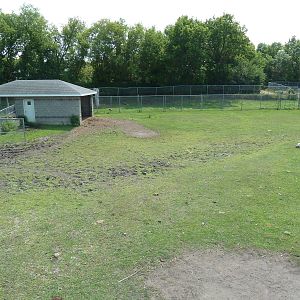 American Bison/Rocky Mountain Elk Exhibit