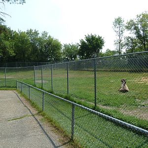 Bactrian Camel/Donkey Exhibit