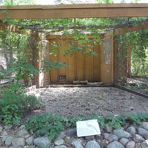 Elliot Pheasant Exhibit