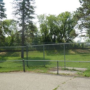 Llama/Dall Sheep Exhibit