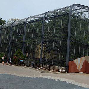 Aug. 2014 - Feathers + Scales - Andean Condor Exhibit