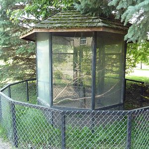 Red-Tailed Hawk Exhibit