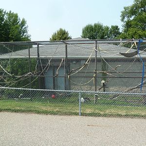 Lemur Exhibit (3 Species)