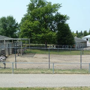 Grant's Zebra Exhibit