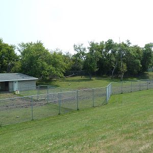 American Bison/Rocky Mountain Elk Exhibit