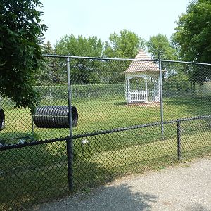 Tortoise Town Walk-Through Exhibit