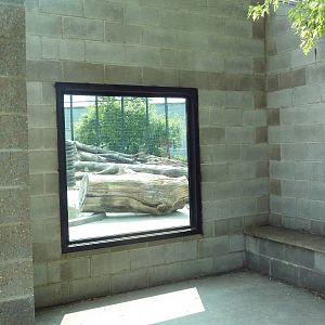 Grizzly Bear Exhibit - Viewing Window
