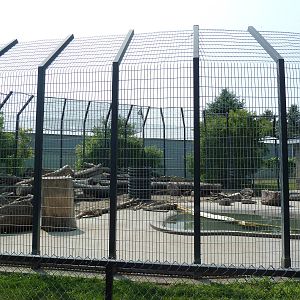 Grizzly Bear Exhibit