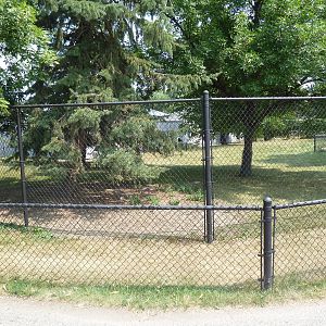 Red Kangaroo Exhibit