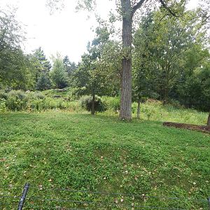 Aug. 2014 - Great Bear Wilderness - Regenstein Wolf Woods