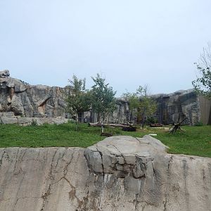 Aug. 2014 - Great Bear Wilderness - Rotational Bear Exhibit