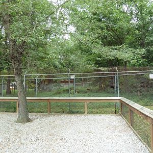 Mexican Grey Wolf Exhibit