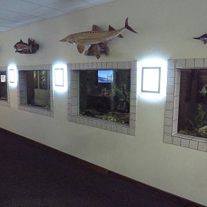 Aquariums