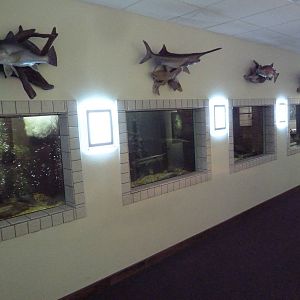 Aquariums