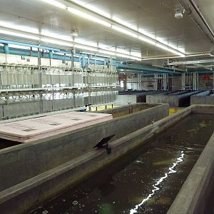 Sturgeon Building - Interior