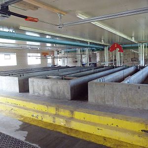 Sturgeon Building - Interior