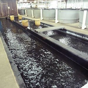 Salmon Building - Interior