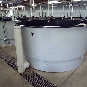 Salmon Building - Interior