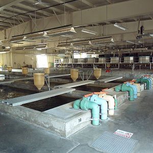 Salmon Building - Interior