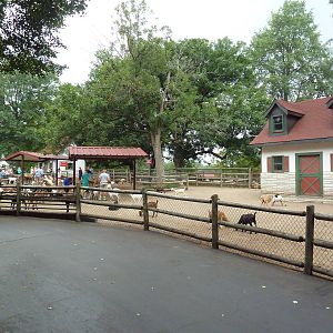 Goat Petting Yard