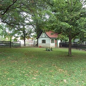 Red Kangaroo/Bennett's Wallaby Exhibit