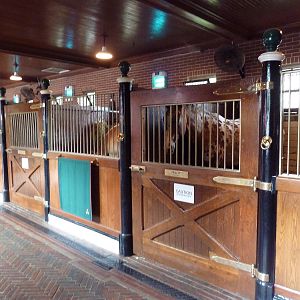 Main Building - Horse Stalls
