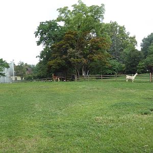 Llama/Alpaca Exhibit