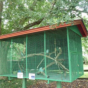 Indian Ring-Neck Parrot Cage