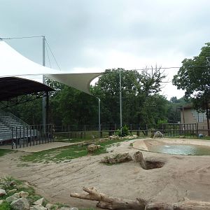 African Elephant Exhibit