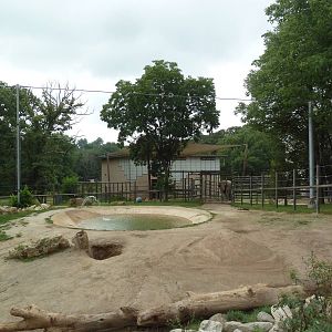 African Elephant Exhibit
