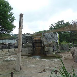 African Elephant Exhibit