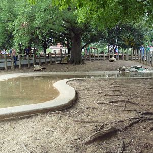 Media 'African Spurred Tortoise Exhibit' in category 'Grant's Farm'