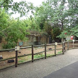 Bird of Prey Zone (Tethered Birds)