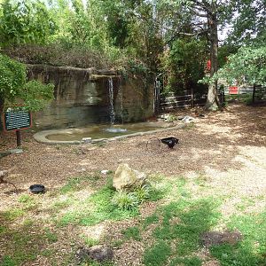 Bird of Prey Zone (Tethered Birds)