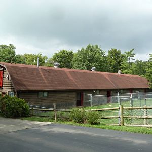 Hoofstock Barn