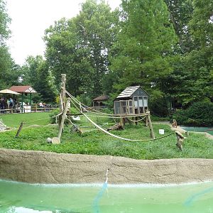 Red-Fronted Lemur Exhibit