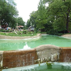 Red-Fronted Lemur Exhibit
