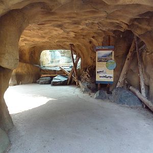 Russia's Grizzly Coast - Pathway