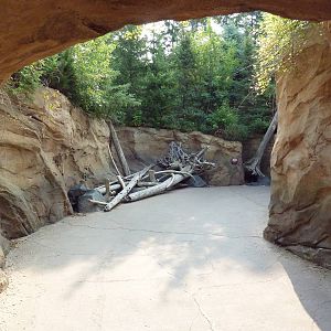 Russia's Grizzly Coast - Pathway