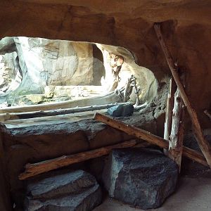 Russia's Grizzly Coast - Sea Otter Viewing Area