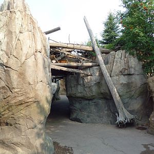 Russia's Grizzly Coast - Pathway