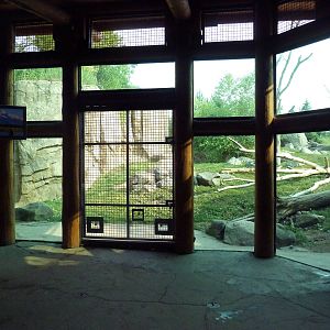 Russia's Grizzly Coast - Brown Bear Exhibit