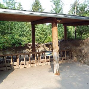 Russia's Grizzly Coast - Wild Boar Exhibit