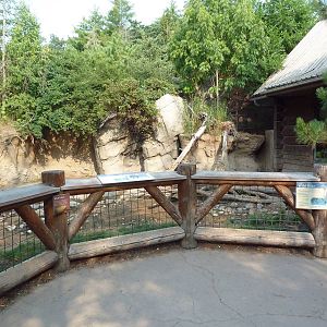 Russia's Grizzly Coast - Wild Boar Exhibit