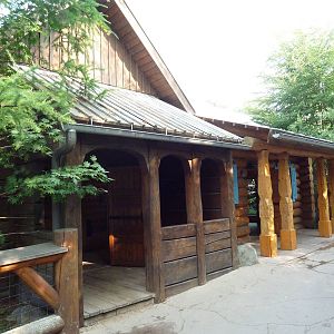 Russia's Grizzly Coast - Wild Boar + Amur Leopard Viewing Cabin